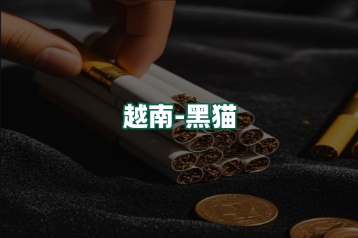 越南黑猫